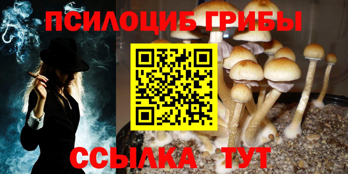 Псилоцибиновые грибы GOLDEN TEACHER  Галлюциногенные грибы мицелий  купить закладку  Вход с VPN  Наро-Фоминск 