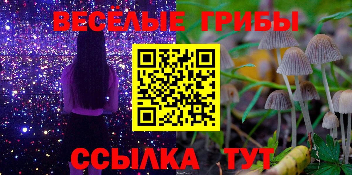 Псилоцибиновые грибы GOLDEN TEACHER Наро-Фоминск
